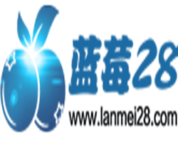 蓝莓28
