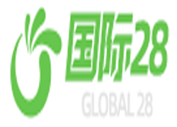 国际28